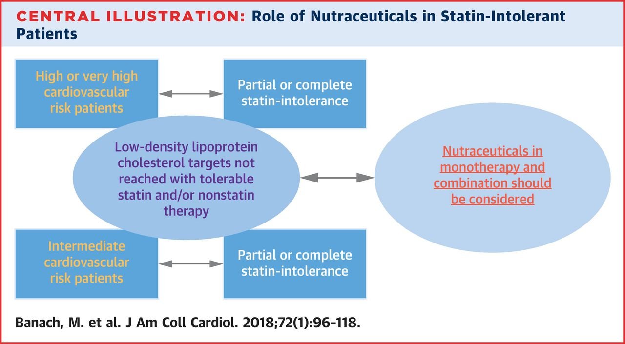 The Role of Nutraceuticals in Statin Intolerant Patients