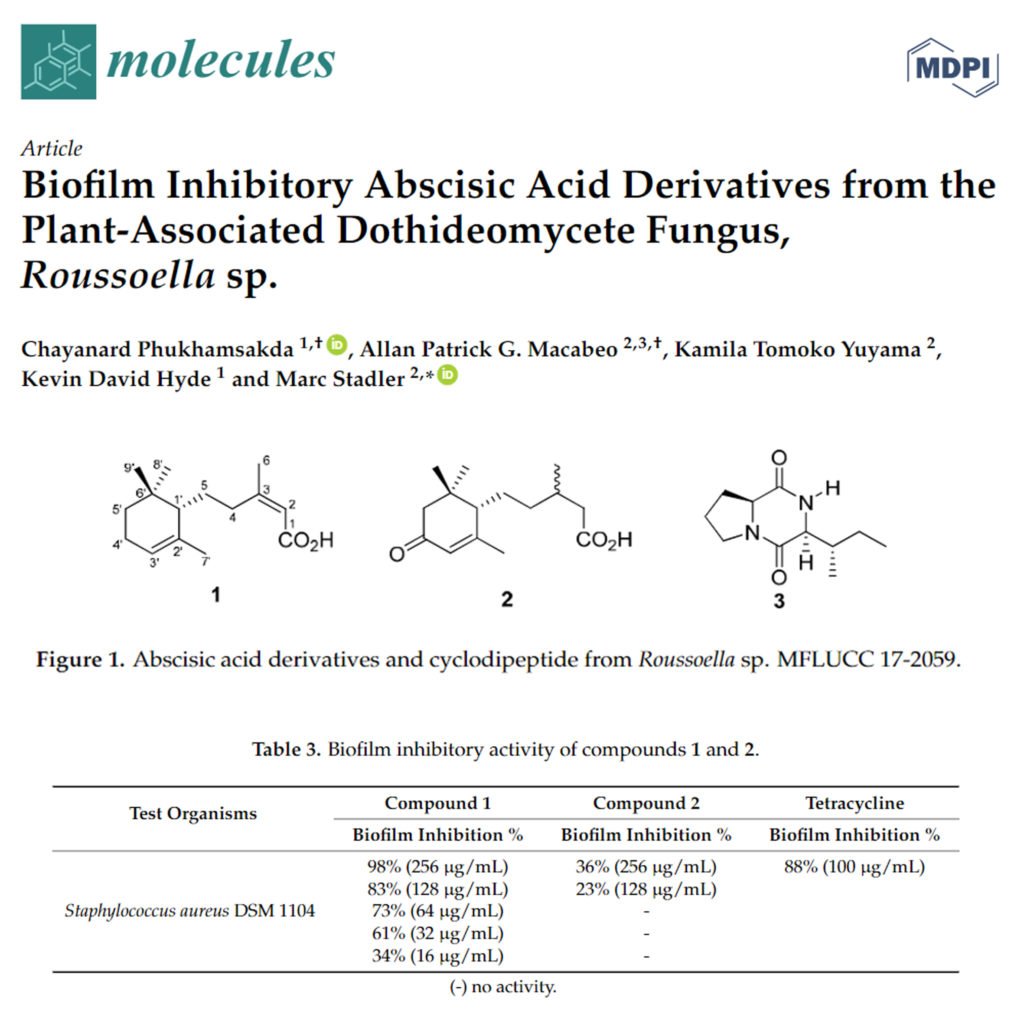 Biofilm Inhibitory Abscisic Acid Derivatives from the Plant-Associated Dothideomycete Fungus, Roussoella sp
