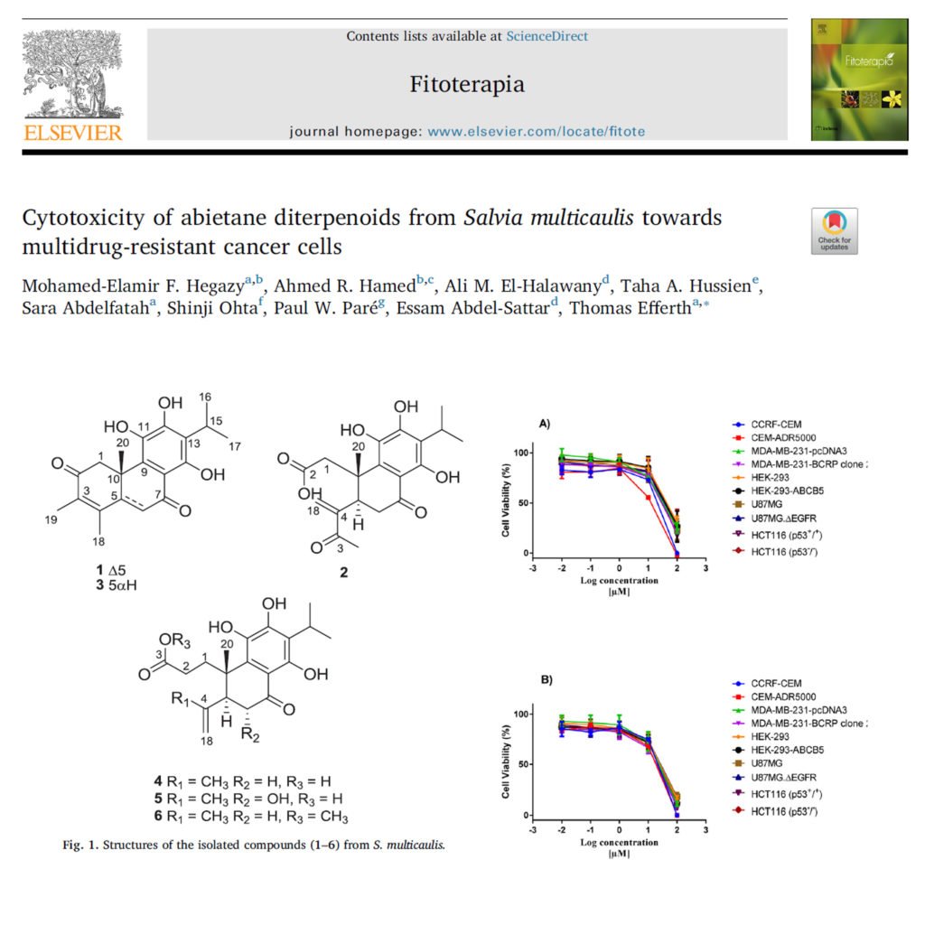 Cytotoxicity of abietane diterpenoids from Salvia multicaulis towards multidrug-resistant cancer cells