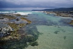 Australian ocean scene. Photo by Dr. Rohan Davis.
