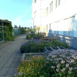 The Botanical Garden of Department of Pharmacognosy, University of Vienna, Austria. Photo by Atanas G. Atanasov.