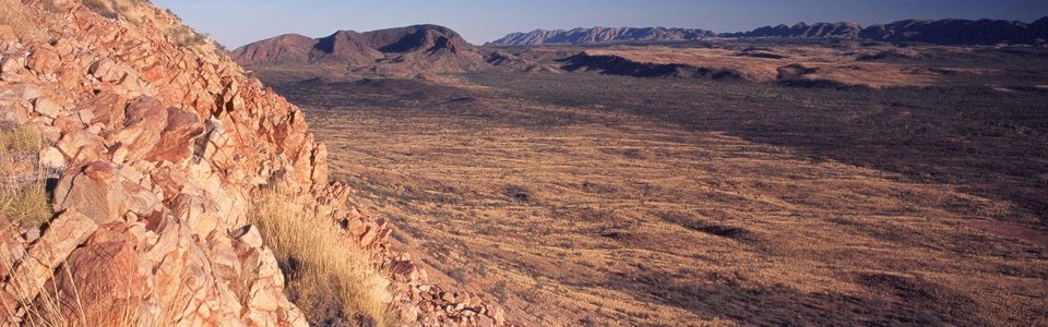 Central Australian desert scene. Photo by Dr. Rohan Davis.t