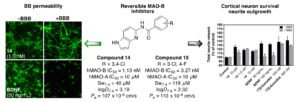 new promising brain penetrant compounds