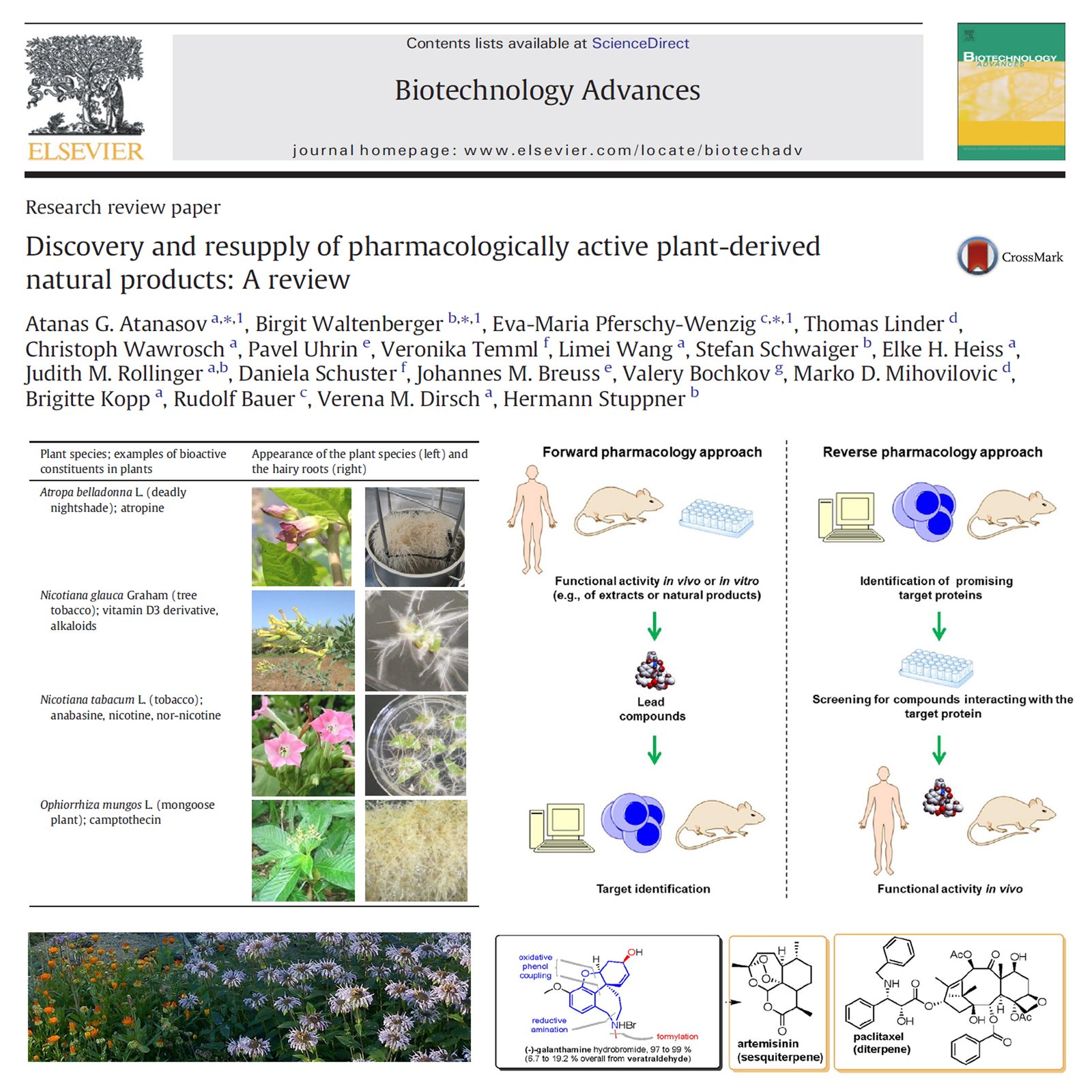 Discovery and resupply of pharmacologically active plant-derived natural products: A review