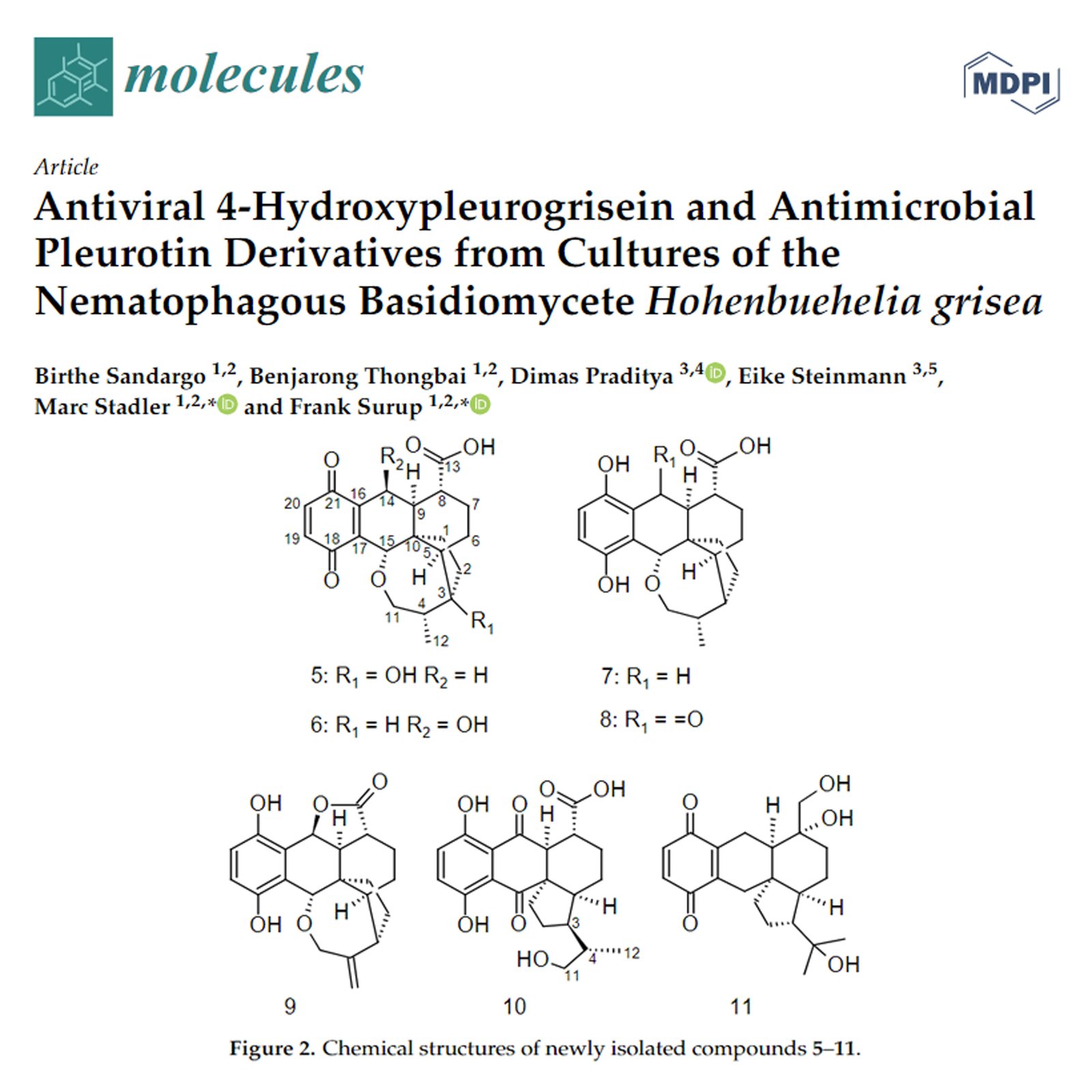 Antiviral 4-Hydroxypleurogrisein and Antimicrobial Pleurotin Derivatives from Cultures of the Nematophagous Basidiomycete Hohenbuehelia grisea