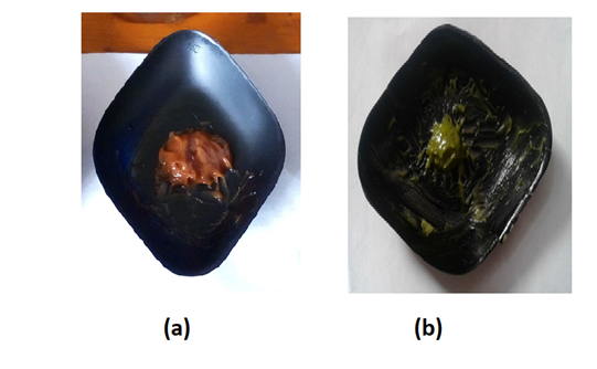 Fig. 3: Herbal sunscreen formulations developed from (a) Leucas zeylanica (b) Ophiorrhiza mungos